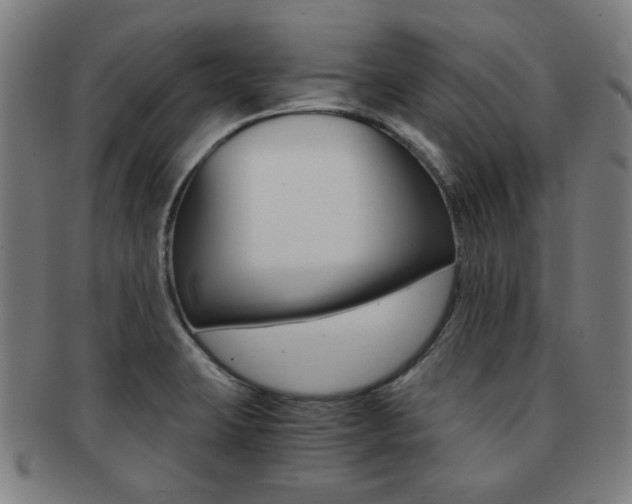 X0000091881423200709051006
