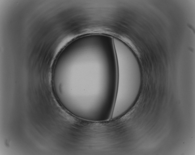 X0000091881424200709051006