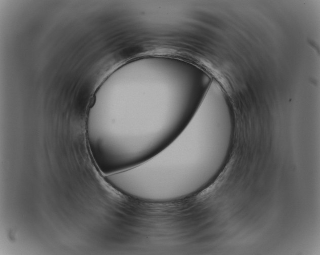 X0000091881425200709051006