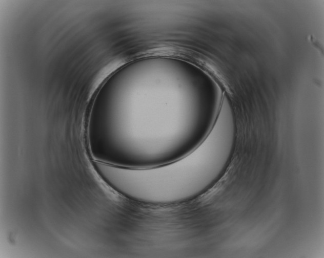X0000091881426200709051006