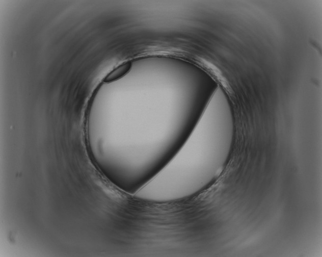 X0000091881427200709051006