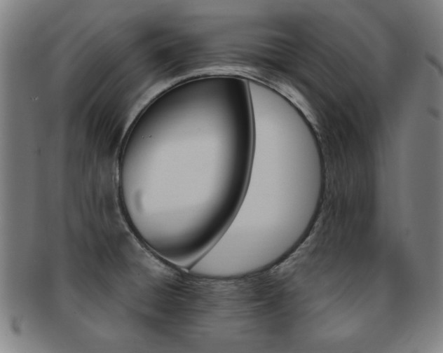 X0000091881428200709051006