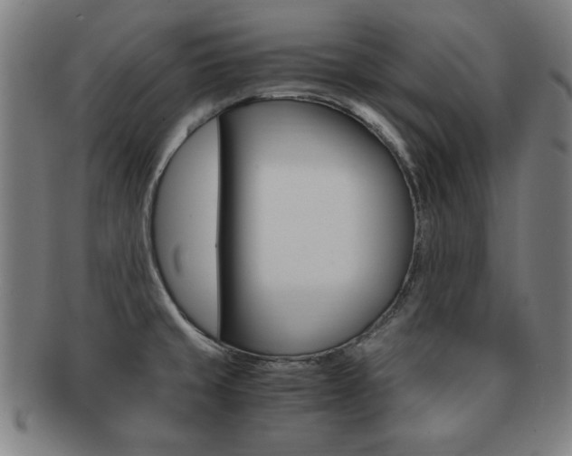 X0000091881429200709051006