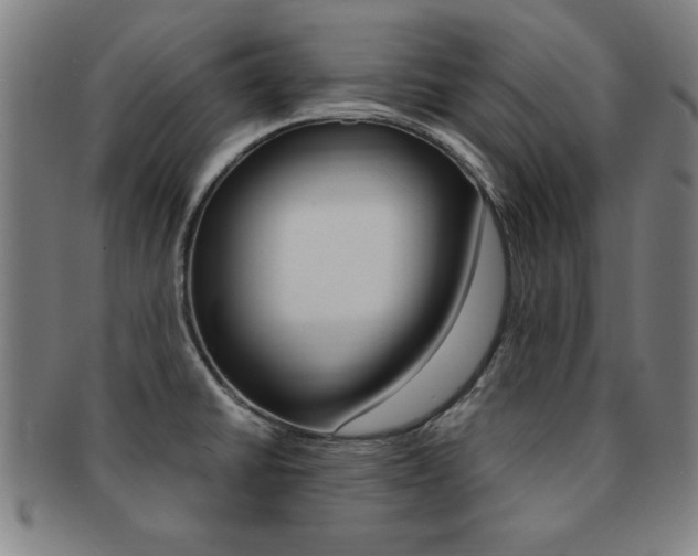X0000091881430200709051006