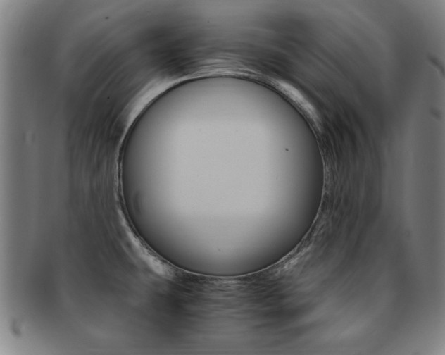 X0000091881431200709051006