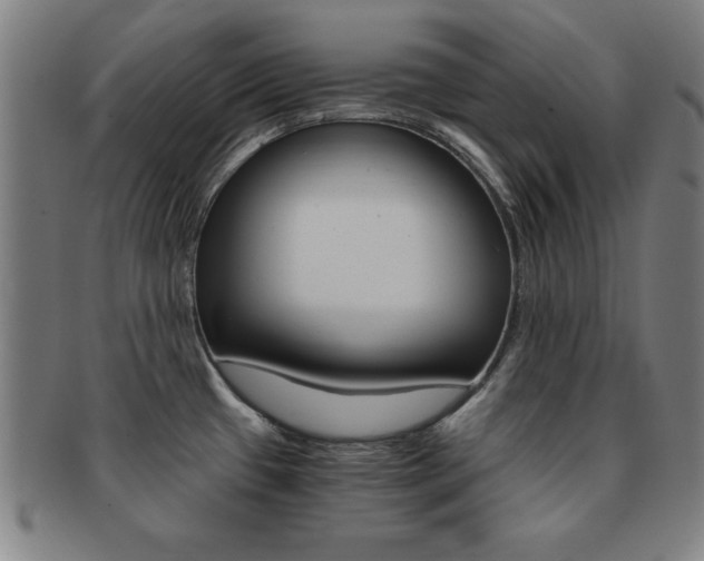 X0000091881433200709051006