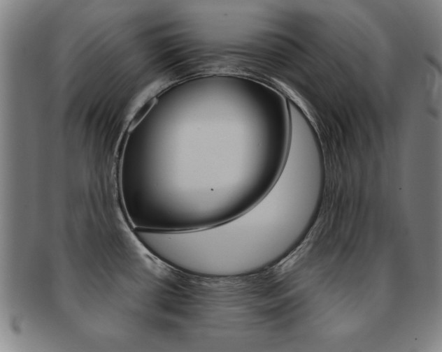 X0000091881434200709051006