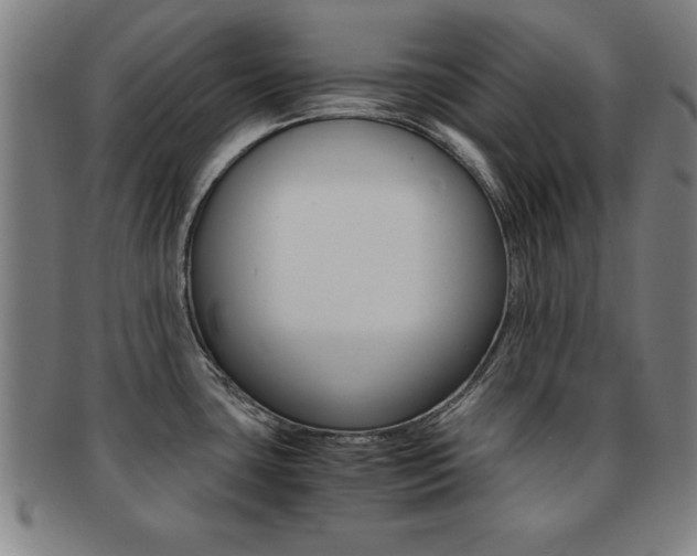 X0000091881435200709051006