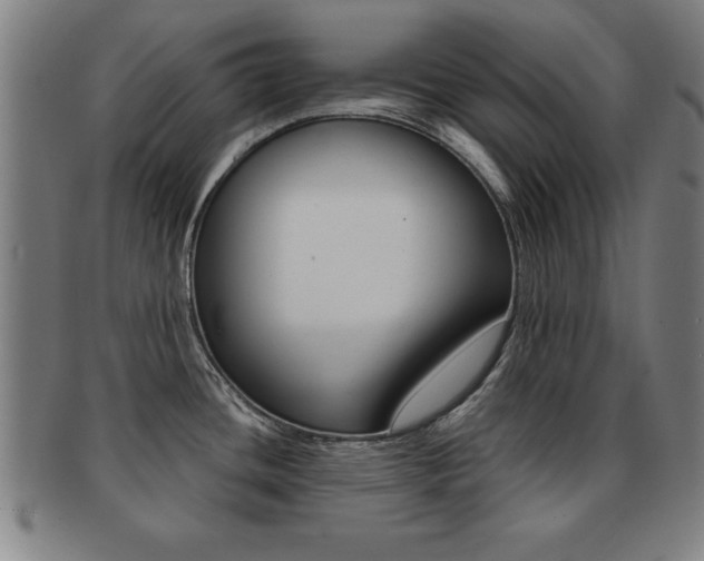 X0000091881436200709051006