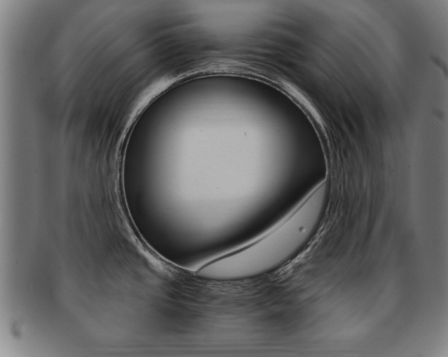 X0000091881437200709051006