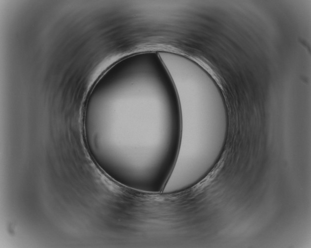 X0000091881438200709051006
