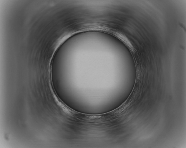 X0000091881439200709051006