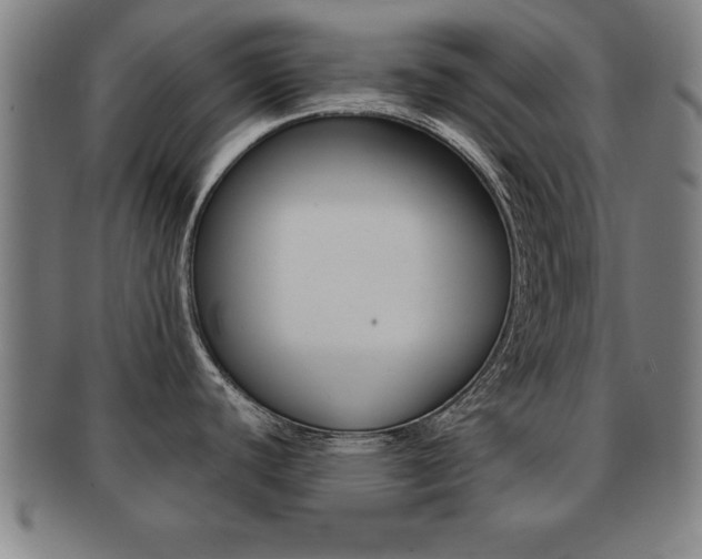 X0000091881440200709051006