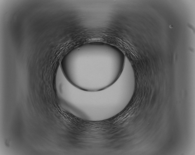 X0000091881441200709051005