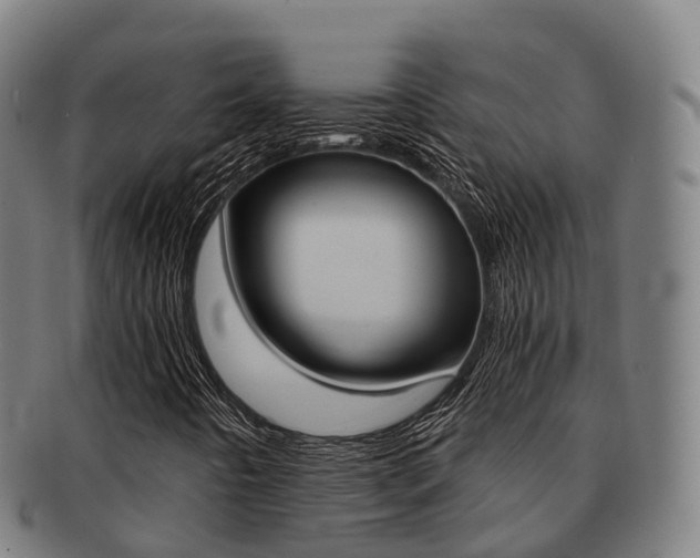 X0000091881442200709051005