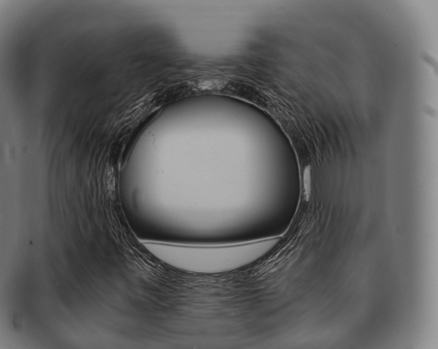 X0000091881443200709051005