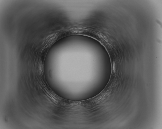 X0000091881444200709051005
