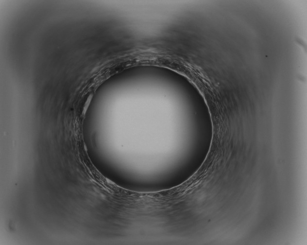 X0000091881445200709051005