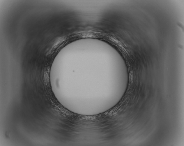 X0000091881446200709051005