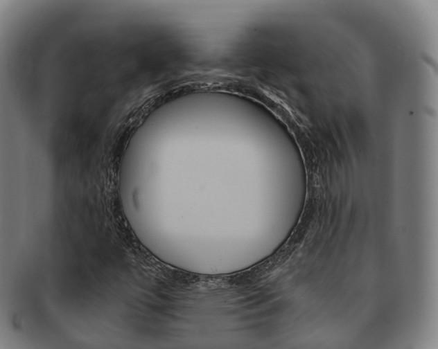 X0000091881447200709051005
