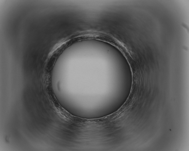 X0000091881448200709051005