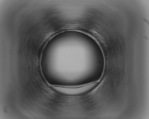 X0000091881449200709051005