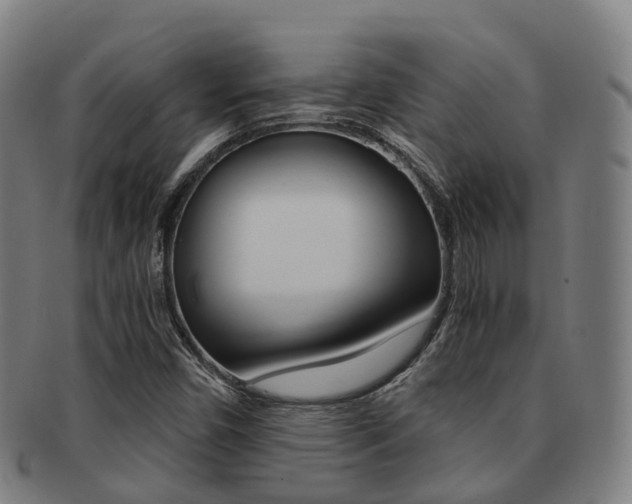 X0000091881450200709051005