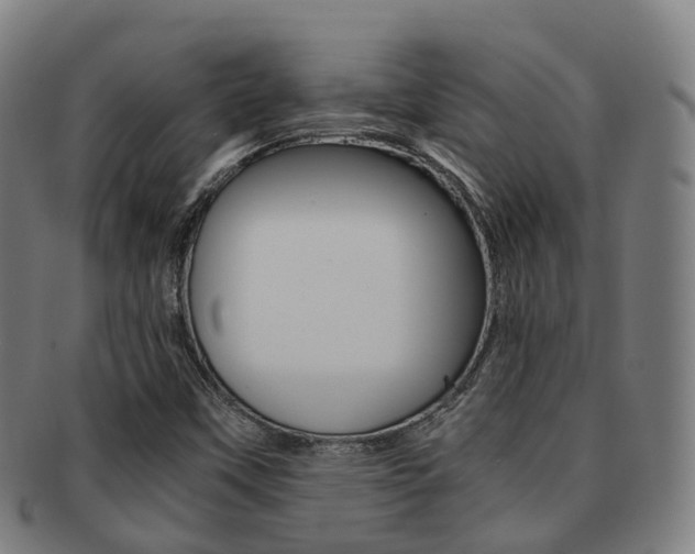 X0000091881451200709051005
