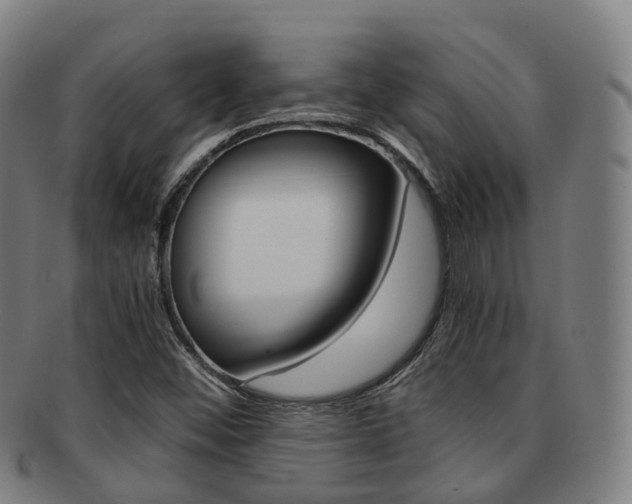X0000091881452200709051005