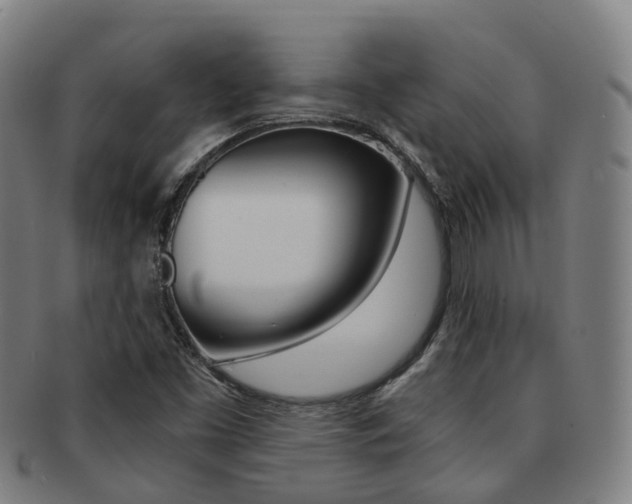 X0000091881453200709051005