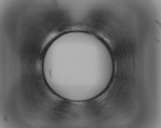 X0000091881454200709051005