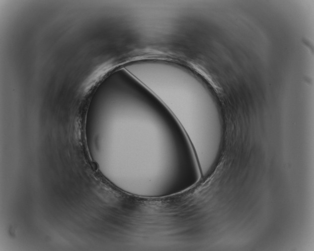 X0000091881455200709051005
