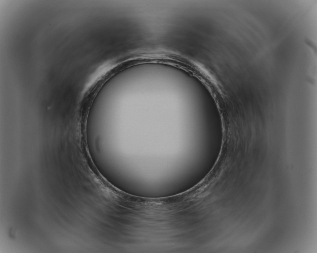 X0000091881456200709051005