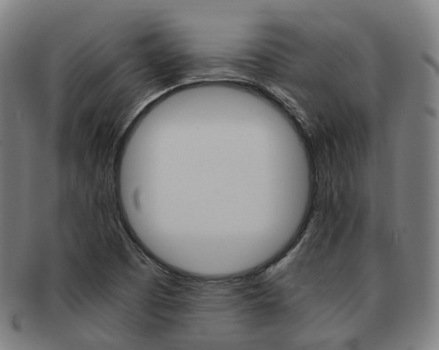X0000091881457200709051005