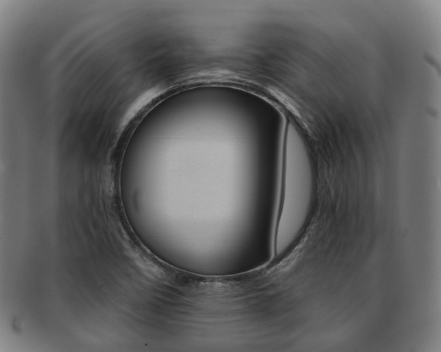 X0000091881458200709051005