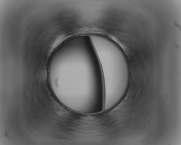 X0000091881459200709051005
