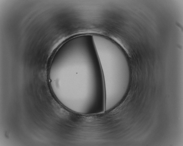 X0000091881460200709051005