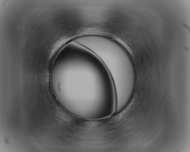 X0000091881461200709051005