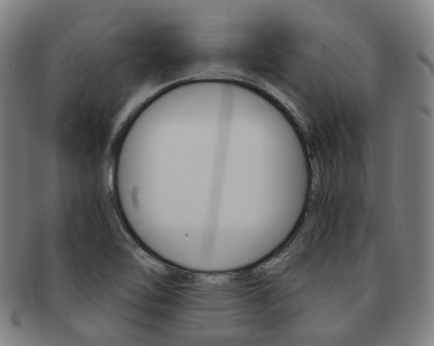 X0000091881462200709051005