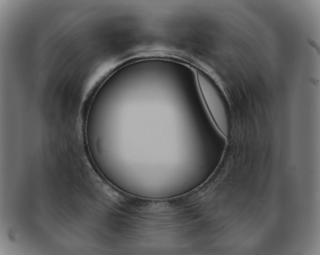X0000091881464200709051005
