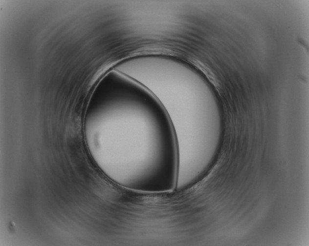 X0000091881465200709051005