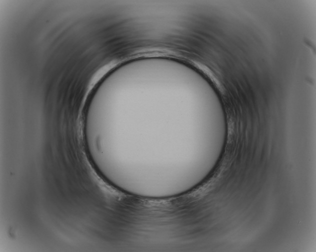 X0000091881466200709051005