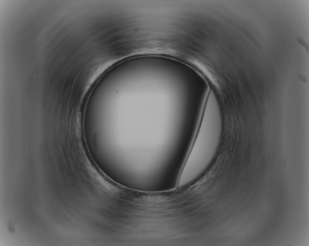 X0000091881468200709051005