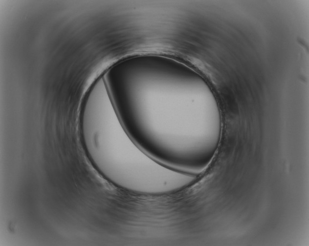 X0000091881469200709051005
