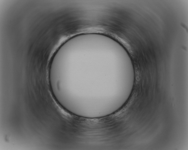X0000091881470200709051005