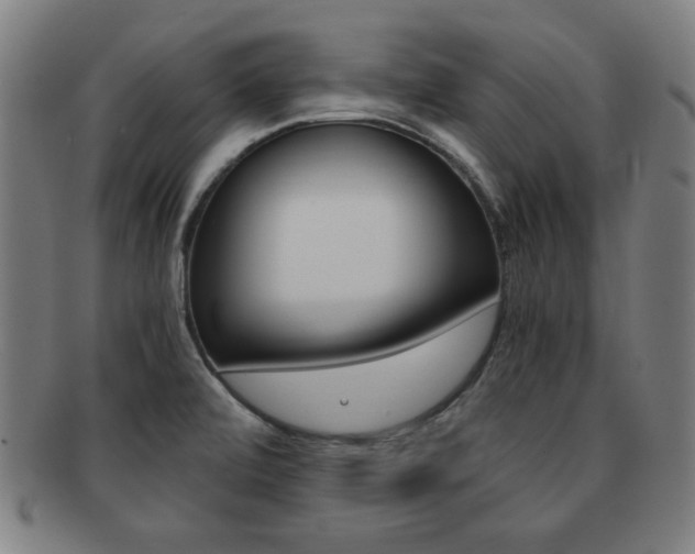 X0000091881472200709051005