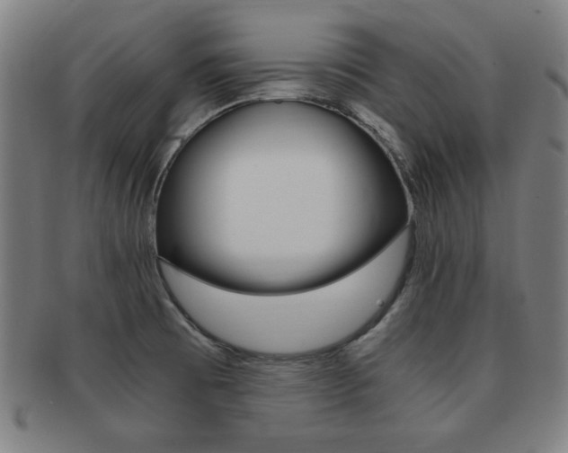 X0000091881473200709051005