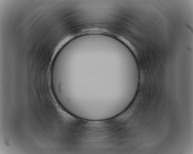 X0000091881474200709051005