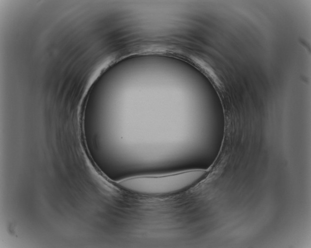 X0000091881475200709051005