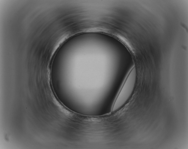 X0000091881476200709051005